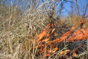 protecting farms and ranches from wildfires