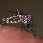 Mosquito Control information to address the threat of Zika virus in Texas