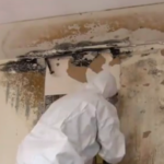Removing mold from homes