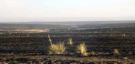 rangeland and pastures burned by wildfires