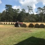 agrilife extension livestock assistance hurricane florence