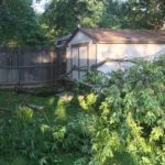 dallas-tree-damage-branches-from-severe-weather-sqaure