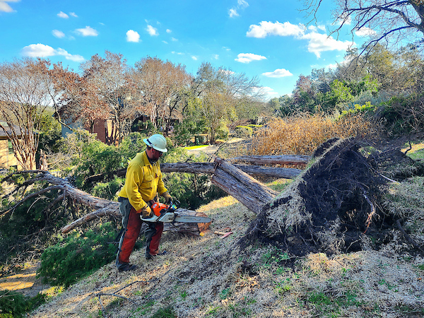 Man with a chainsaw removing a fallen tree